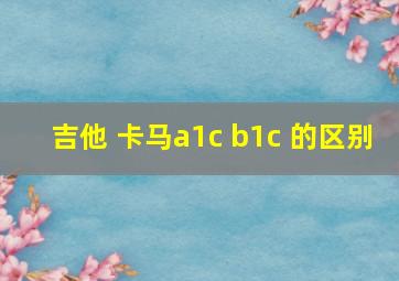 吉他 卡马a1c b1c 的区别